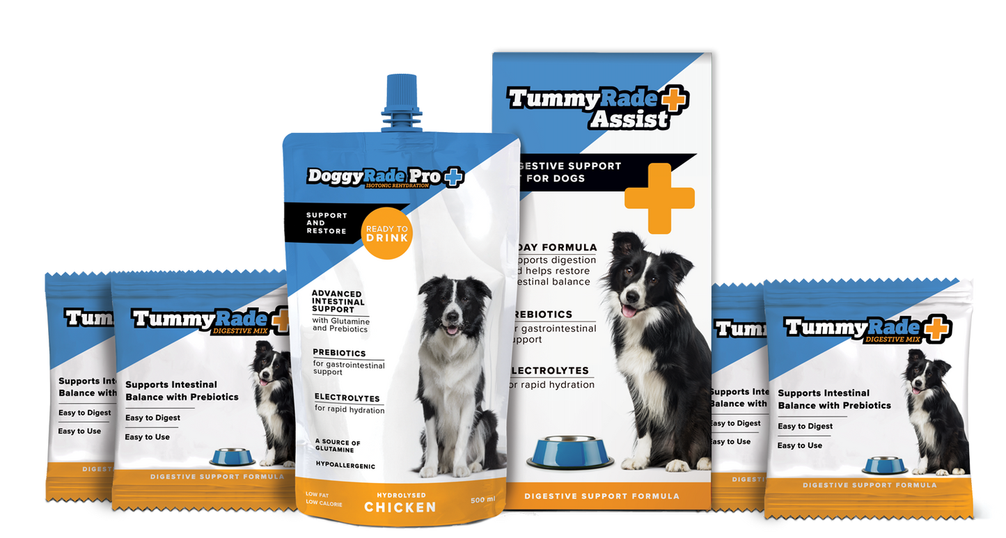 TummyRade Assist: Digestive Support Kit for Dogs