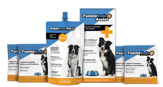 TummyRade Assist: Digestive Support Kit for Dogs
